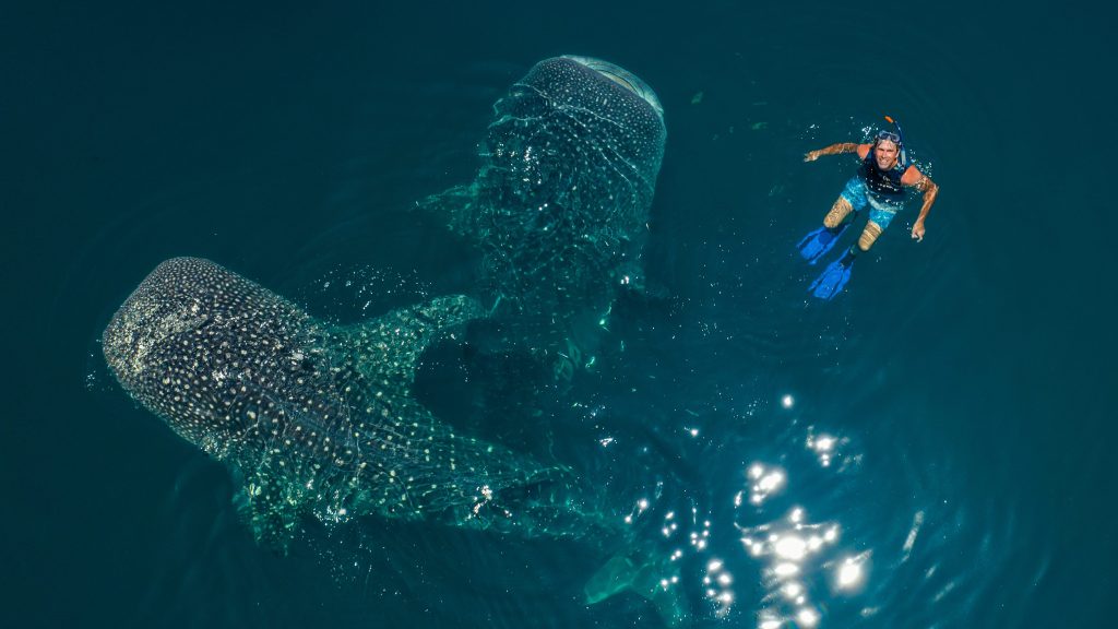 Wilderness with Simon Reeve&nbsp;(BBC)