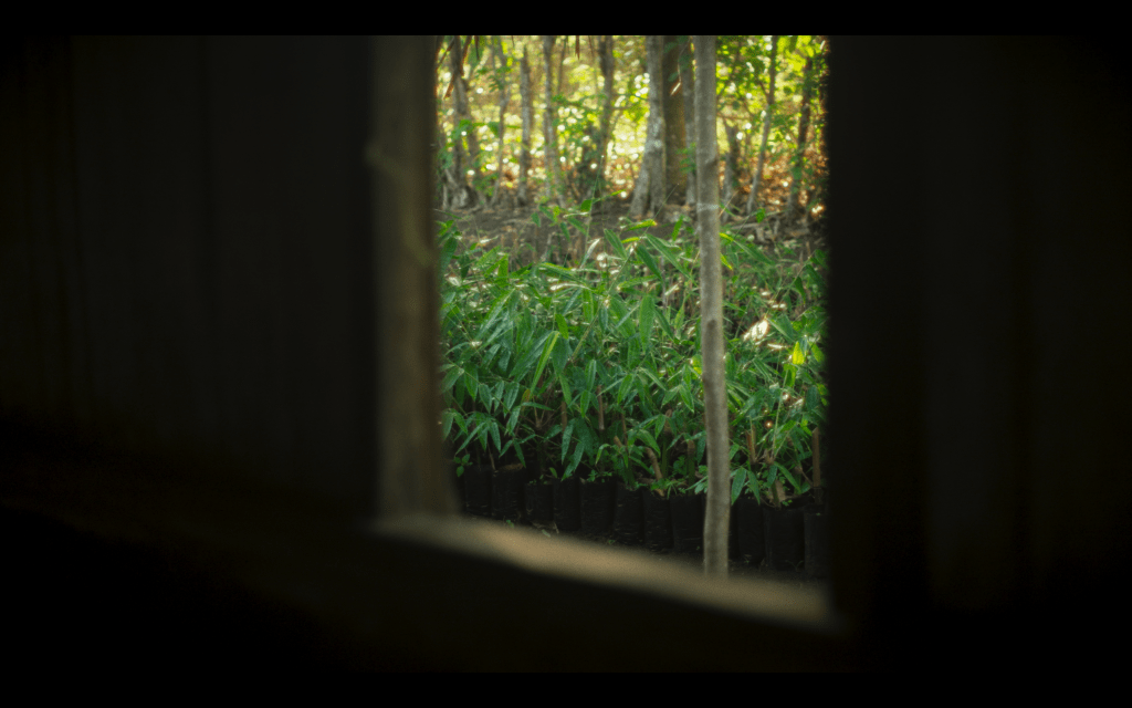 Women at the Frontline of Climate Change