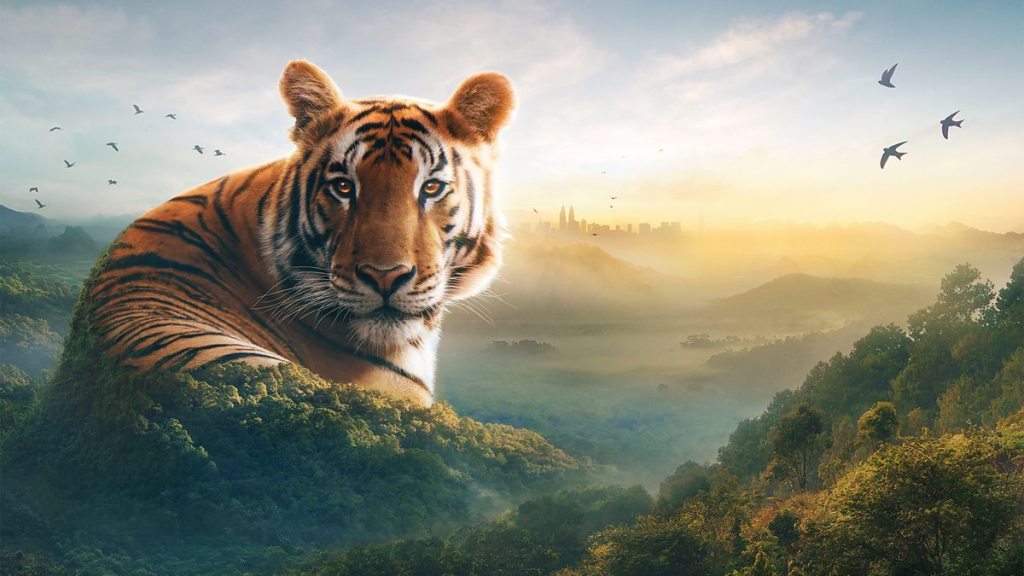 ASIA (BBC)